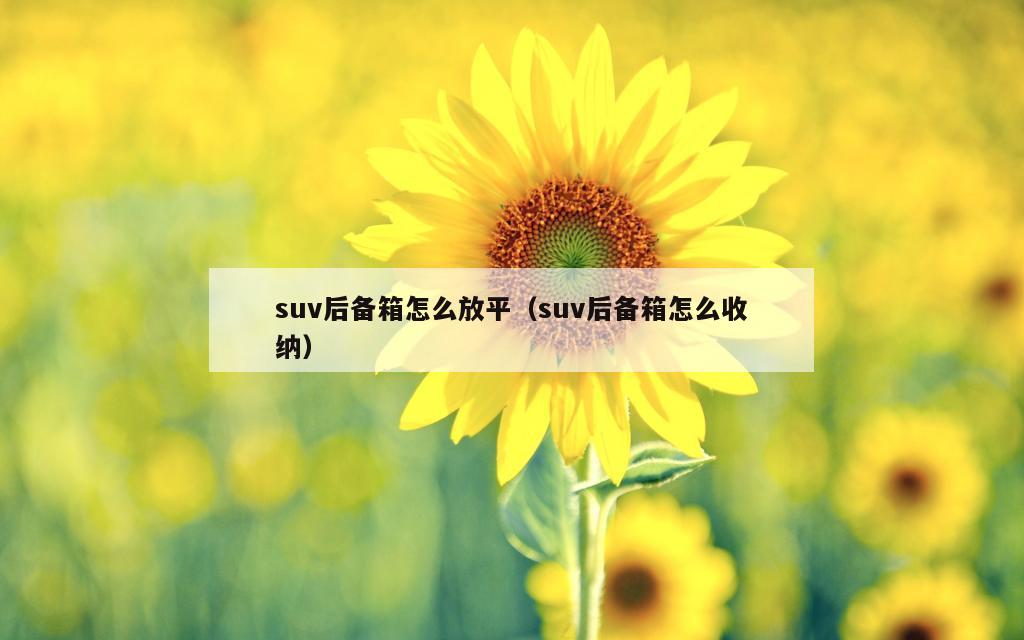 suv后备箱怎么放平（suv后备箱怎么收纳）