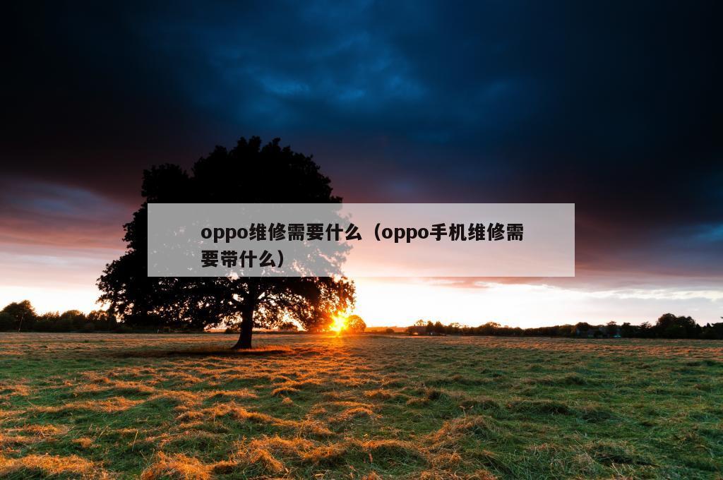 oppo维修需要什么（oppo手机维修需要带什么）