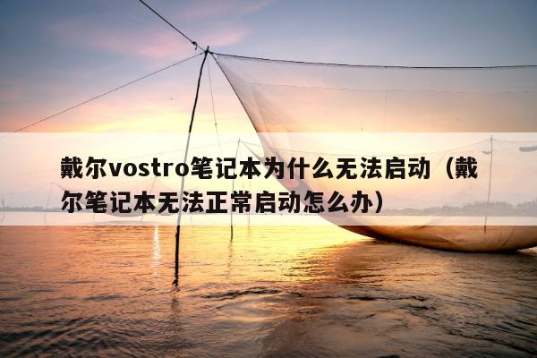 戴尔vostro笔记本为什么无法启动（戴尔笔记本无法正常启动怎么办）