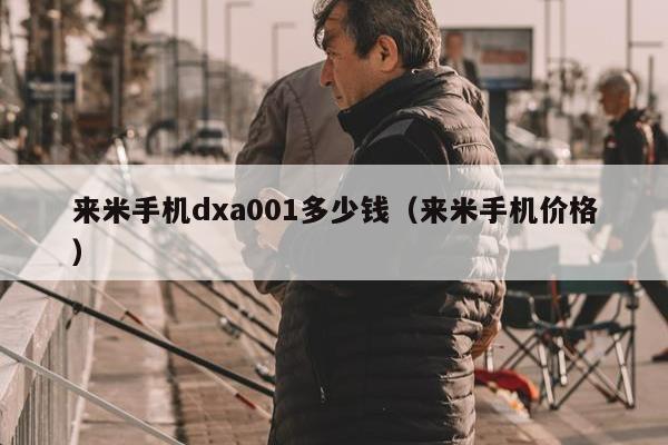 来米手机dxa001多少钱（来米手机价格）