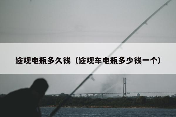 途观电瓶多久钱（途观车电瓶多少钱一个）