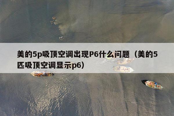 美的5p吸顶空调出现P6什么问题（美的5匹吸顶空调显示p6）