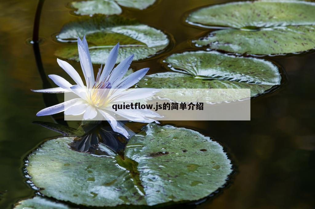 quietflow.js的简单介绍