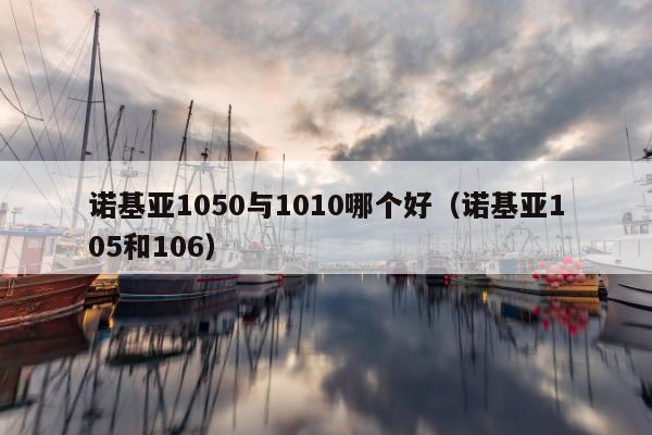 诺基亚1050与1010哪个好（诺基亚105和106）