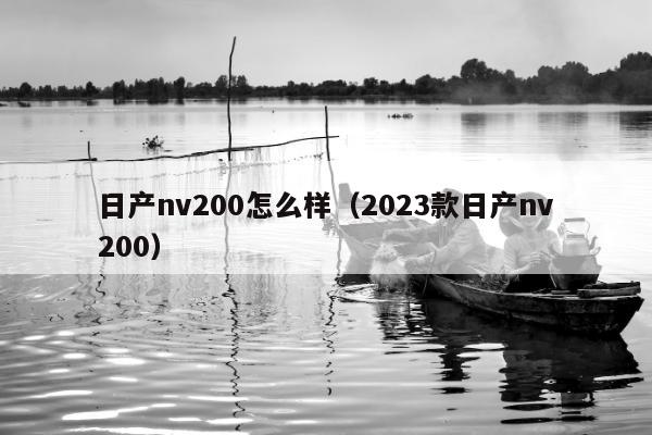 日产nv200怎么样（2023款日产nv200）