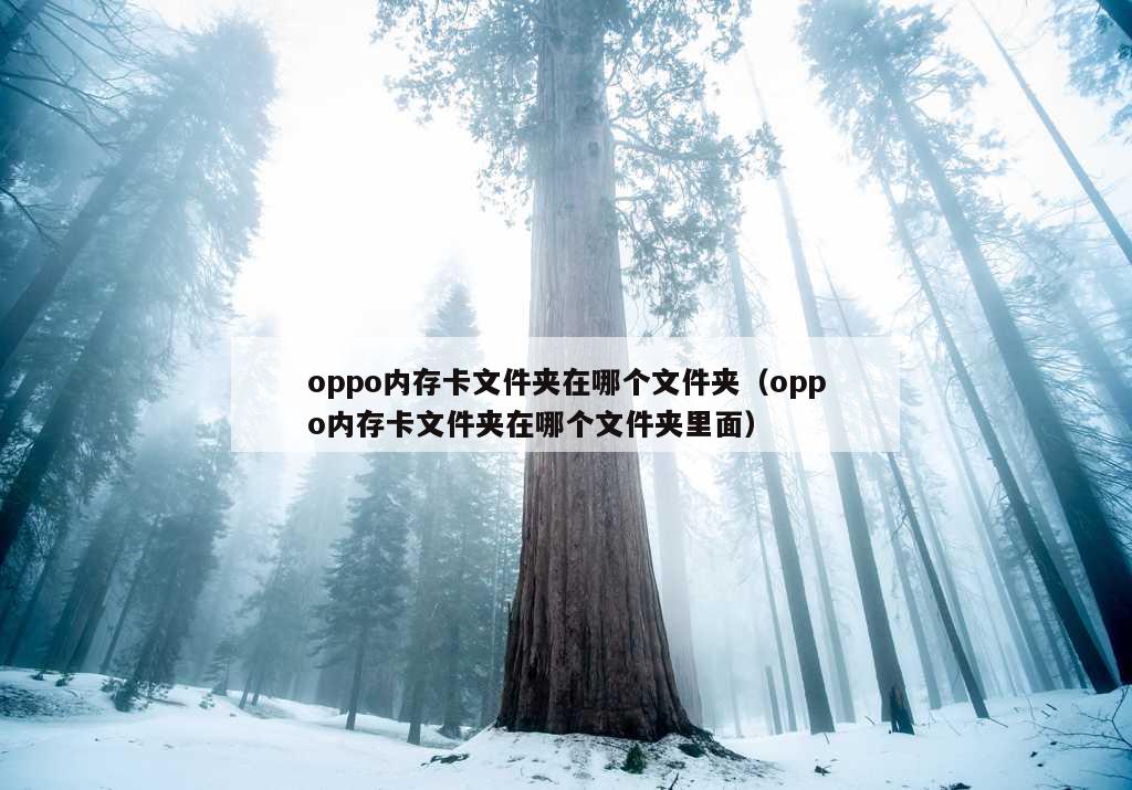 oppo内存卡文件夹在哪个文件夹（oppo内存卡文件夹在哪个文件夹里面）