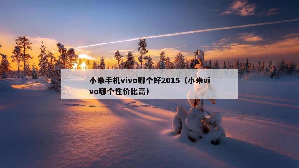 小米手机vivo哪个好2015（小米vivo哪个性价比高）