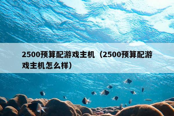 2500预算配游戏主机（2500预算配游戏主机怎么样）