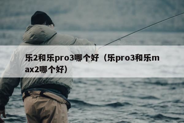 乐2和乐pro3哪个好（乐pro3和乐max2哪个好）