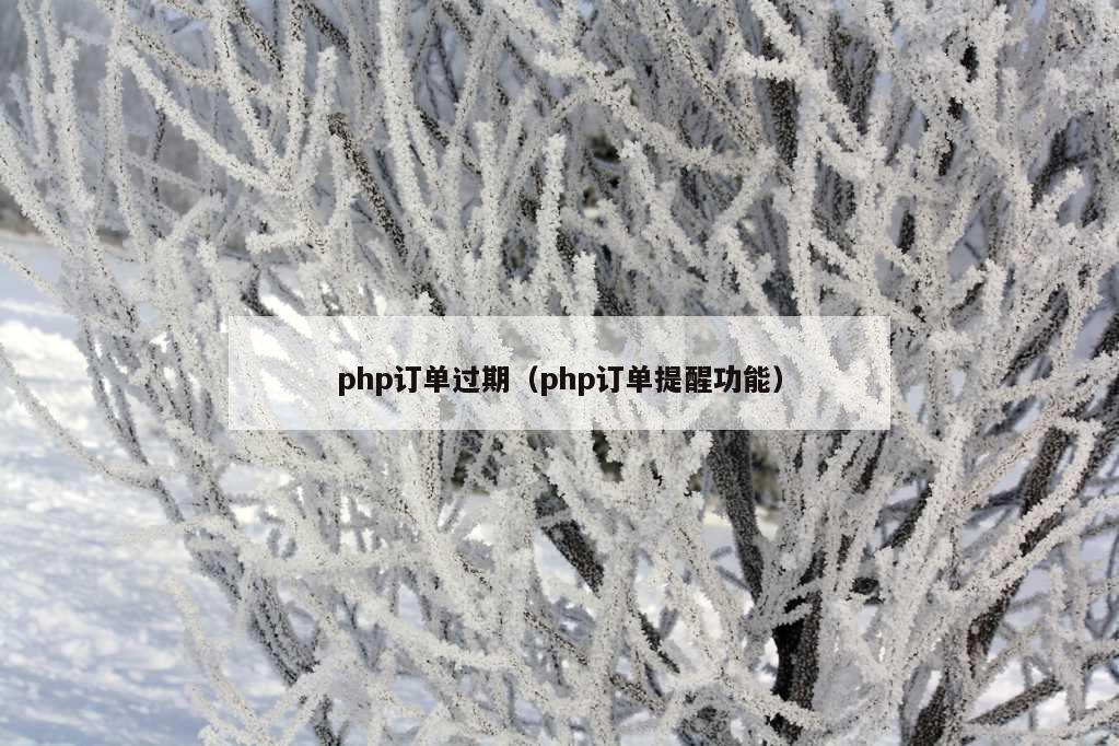 php订单过期（php订单提醒功能）