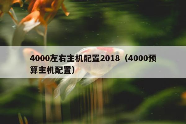 4000左右主机配置2018（4000预算主机配置）