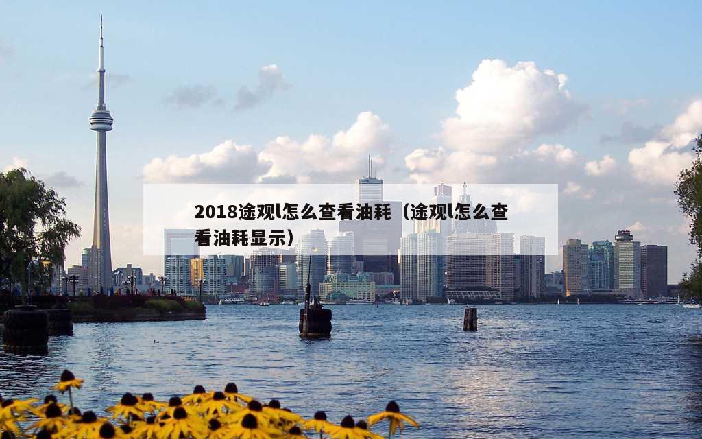 2018途观l怎么查看油耗（途观l怎么查看油耗显示）