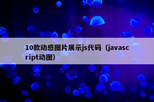 10款动感图片展示js代码（javascript动图）