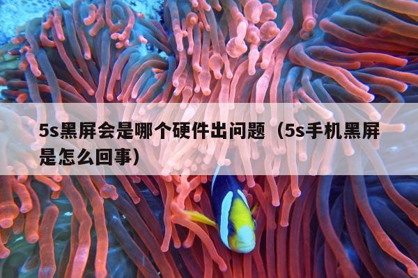 5s黑屏会是哪个硬件出问题（5s手机黑屏是怎么回事）