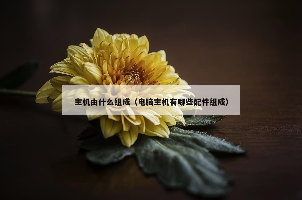 主机由什么组成（电脑主机有哪些配件组成）