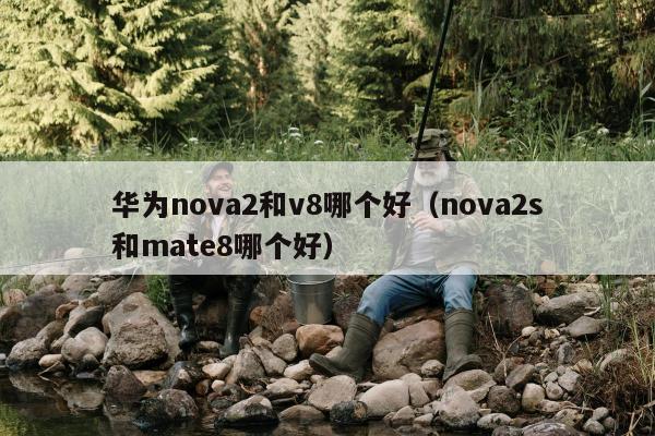 华为nova2和v8哪个好（nova2s和mate8哪个好）