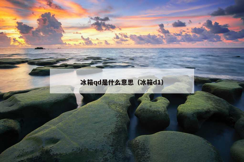 冰箱qd是什么意思（冰箱d1）