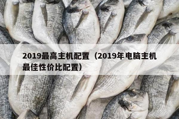 2019最高主机配置（2019年电脑主机最佳性价比配置）