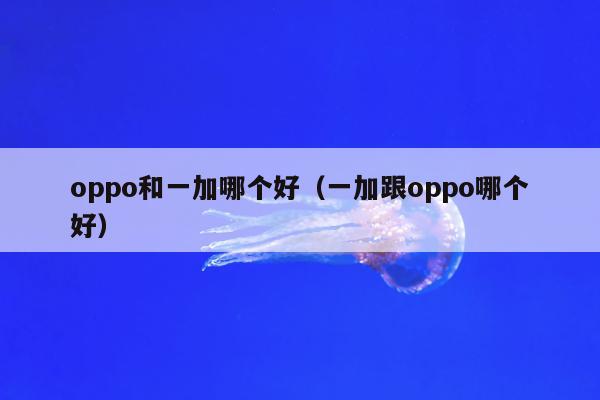 oppo和一加哪个好（一加跟oppo哪个好）