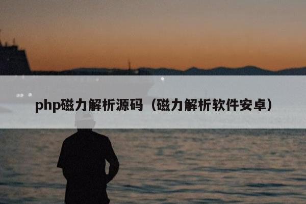 php磁力解析源码（磁力解析软件安卓）