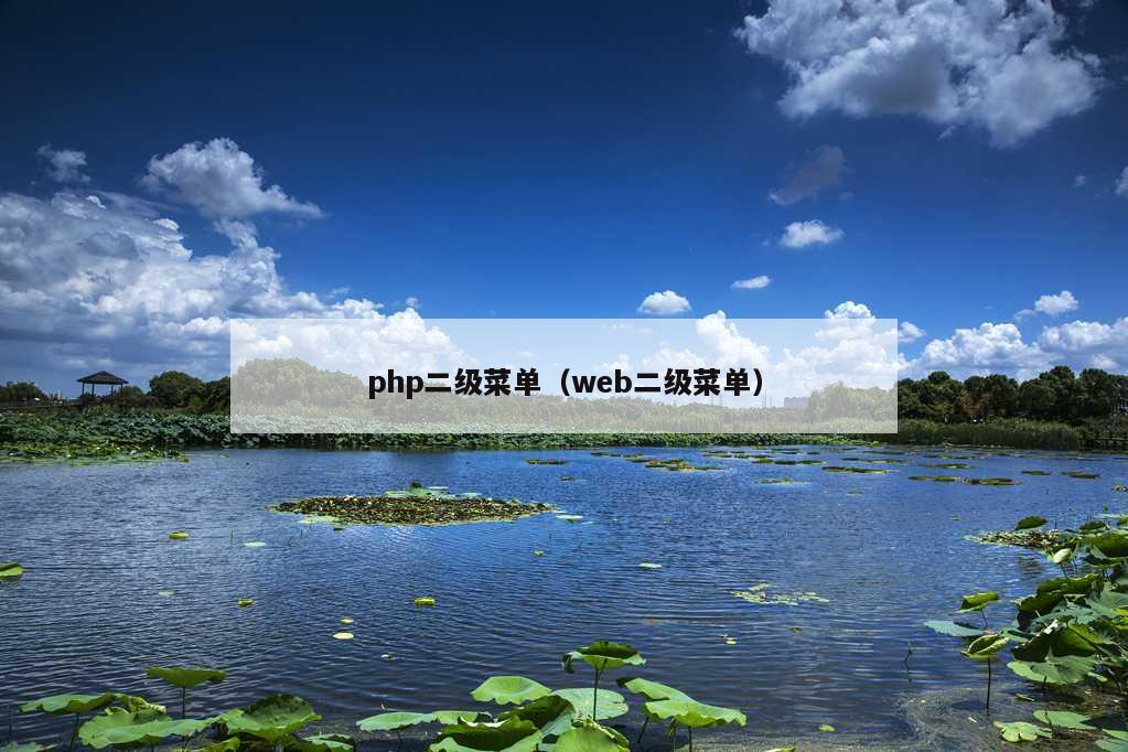 php二级菜单（web二级菜单）