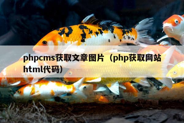 phpcms获取文章图片（php获取网站html代码）