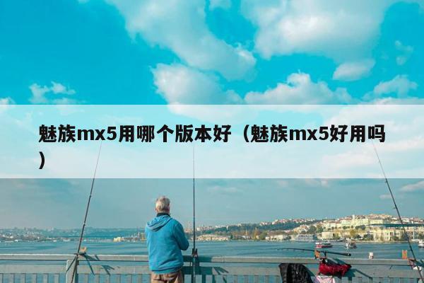 魅族mx5用哪个版本好（魅族mx5好用吗）