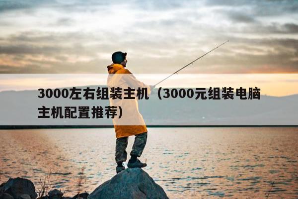 3000左右组装主机（3000元组装电脑主机配置推荐）