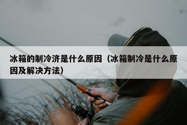 冰箱的制冷济是什么原因（冰箱制冷是什么原因及解决方法）