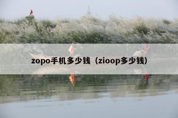 zopo手机多少钱（zioop多少钱）