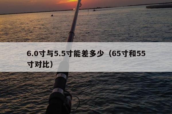 6.0寸与5.5寸能差多少（65寸和55寸对比）