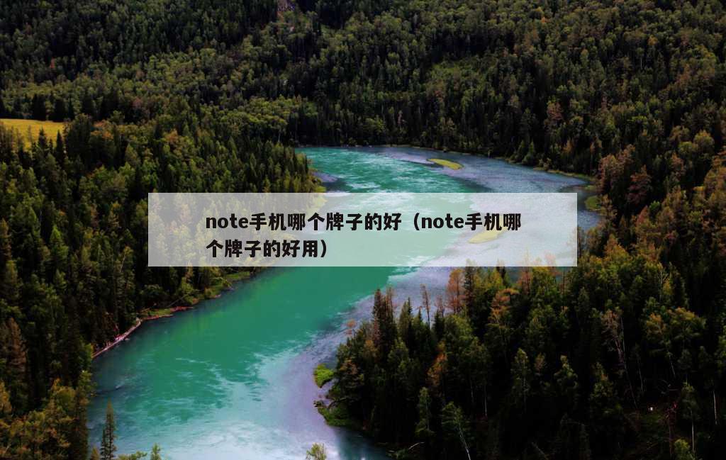 note手机哪个牌子的好（note手机哪个牌子的好用）