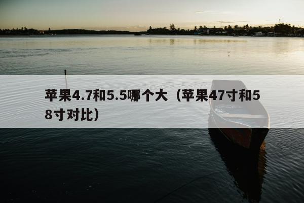 苹果4.7和5.5哪个大（苹果47寸和58寸对比）