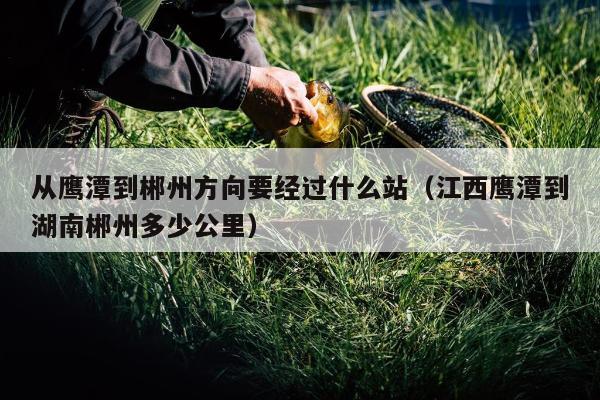 从鹰潭到郴州方向要经过什么站（江西鹰潭到湖南郴州多少公里）