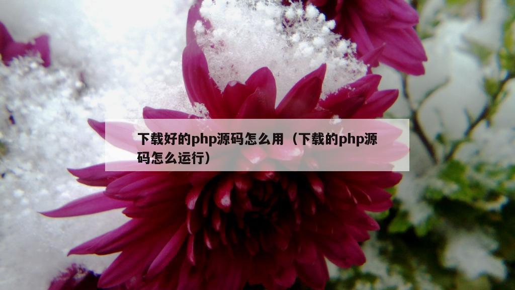 下载好的php源码怎么用（下载的php源码怎么运行）