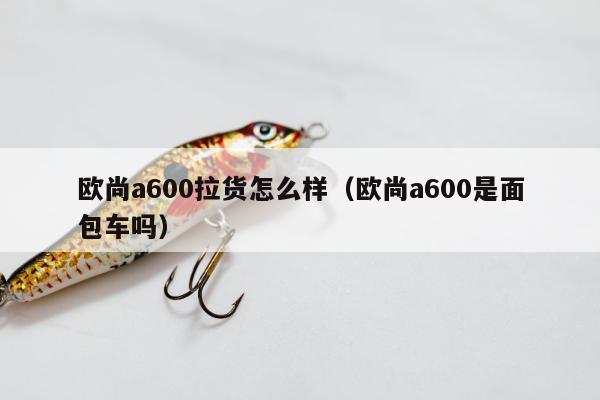 欧尚a600拉货怎么样（欧尚a600是面包车吗）