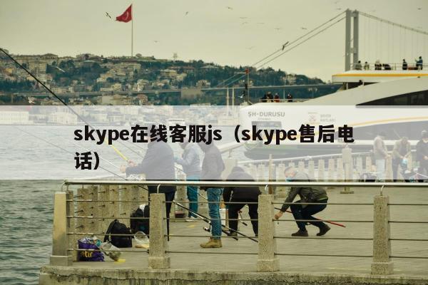 skype在线客服js（skype售后电话）