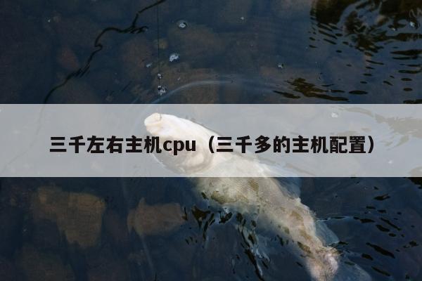 三千左右主机cpu（三千多的主机配置）