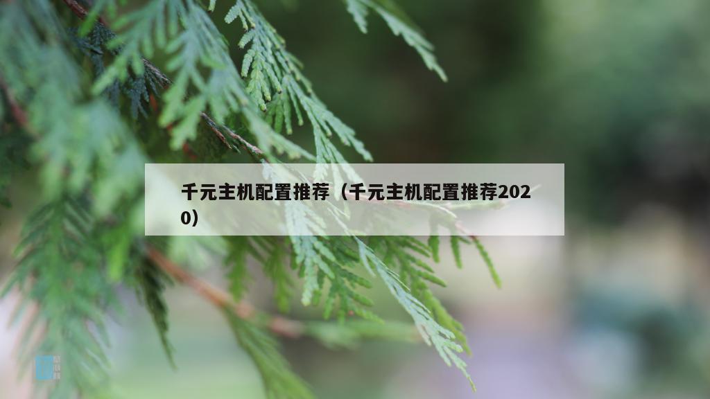 千元主机配置推荐（千元主机配置推荐2020）