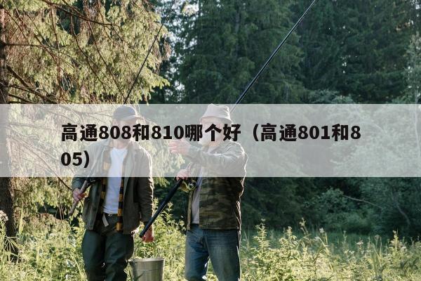 高通808和810哪个好（高通801和805）