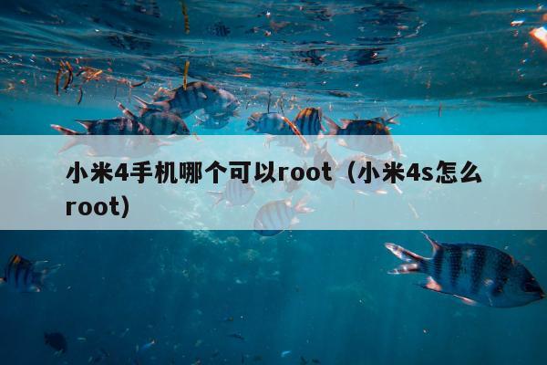 小米4手机哪个可以root（小米4s怎么root）