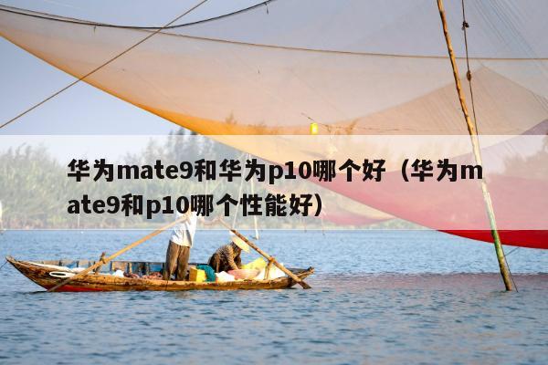 华为mate9和华为p10哪个好（华为mate9和p10哪个性能好）