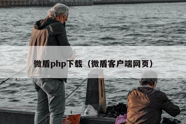 微盾php下载（微盾客户端网页）