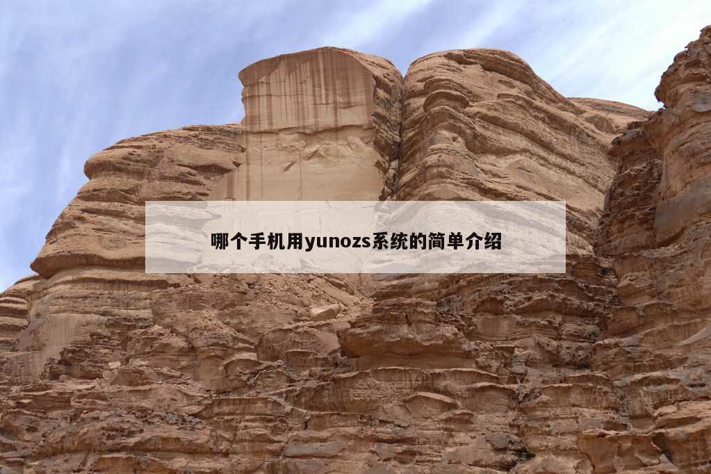 哪个手机用yunozs系统的简单介绍