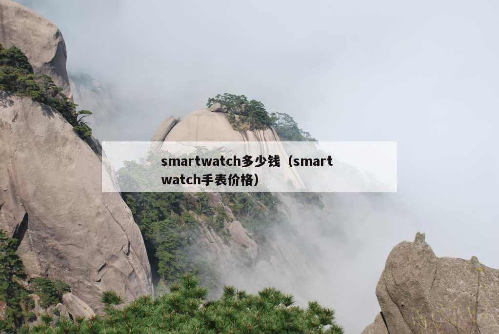 smartwatch多少钱（smart watch手表价格）