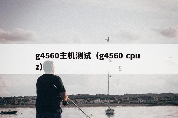 g4560主机测试（g4560 cpu z）