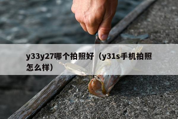 y33y27哪个拍照好（y31s手机拍照怎么样）