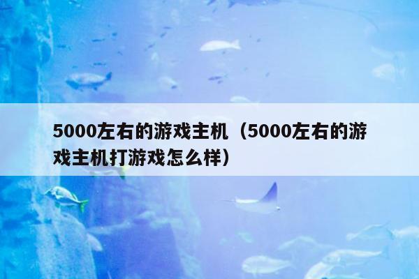 5000左右的游戏主机（5000左右的游戏主机打游戏怎么样）