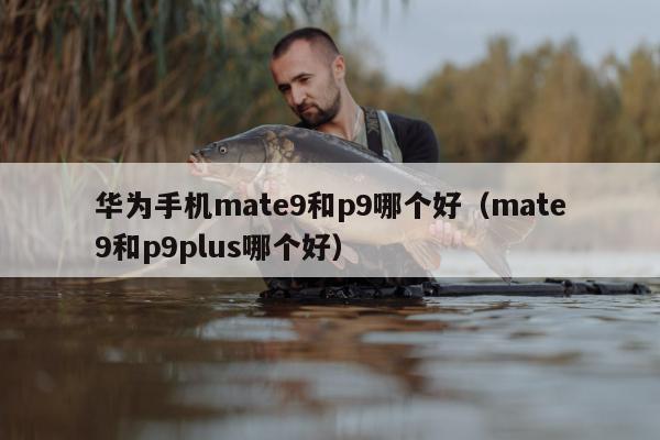 华为手机mate9和p9哪个好（mate9和p9plus哪个好）