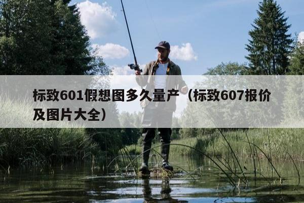 标致601假想图多久量产（标致607报价及图片大全）